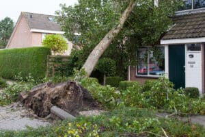 September is National Preparedness Month. Mt. Tabor does home improvement and home repair work.